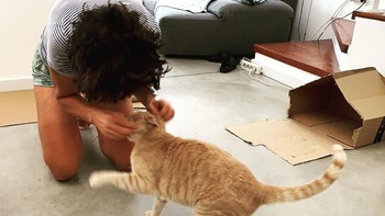 Kejadian tragis pun terjadi. Kucing berusia 6 tahun ini keluar ke jalanan dan mengalami tabrakan mobil. Foto: vituzzosuperstar via boredpanda