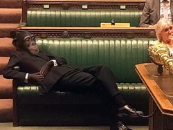 Editan Photoshop Unik Tapi Bikin Ngakak