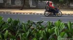 Kece! Ada Skate Park Mini di Kolong JLNT Casablanca