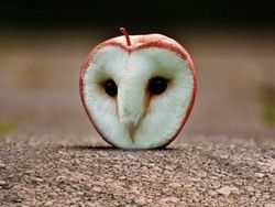 Editan Photoshop Unik Tapi Bikin Ngakak