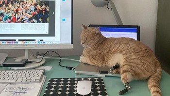 Kelincahannya masih seperti sedia kala. Foto: vituzzosuperstar via boredpanda 