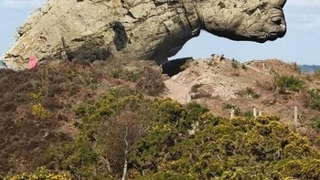 Batu berkepala badak. Foto: Bored Panda