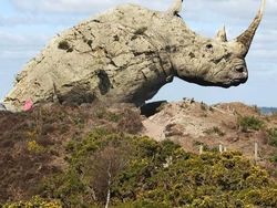 Editan Photoshop Unik Tapi Bikin Ngakak