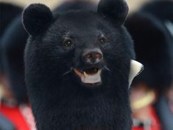 Editan Photoshop Unik Tapi Bikin Ngakak