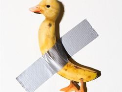 Editan Photoshop Unik Tapi Bikin Ngakak