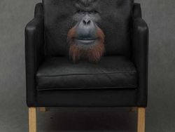 Editan Photoshop Unik Tapi Bikin Ngakak