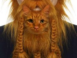 Editan Photoshop Unik Tapi Bikin Ngakak