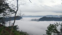 Wisata Puncak Bangku yang menyuguhkan fenomena bak Negeri di Atas Awan. Destinasi ini pun menjadi tujuan wisatawan luar daerah setiap momen liburan. (Dadang Hermansyah/detikcom)