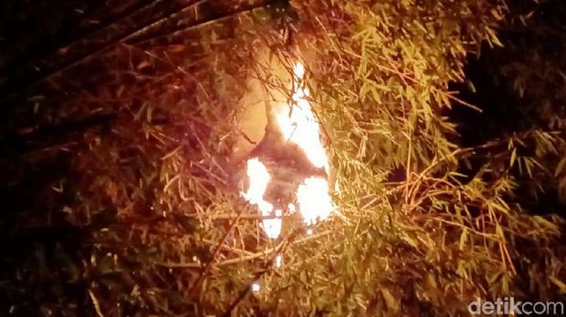 Sarang Tawon Pengganggu Warga Purworejo Dimusnahkan Petugas