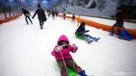Keceriaan Anak-anak Bermain Salju di Trans Snow World Bintaro