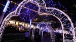 Kerlap-kerlip Pohon Natal Raksasa Hiasi Mal di Ibu Kota