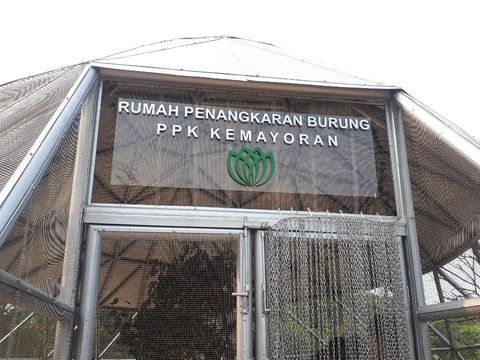 Yuk ke Utan Kemayoran, Rekreasi Sambil Belajar di Area Konservasi