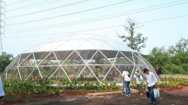 Yuk ke Utan Kemayoran, Rekreasi Sambil Belajar di Area Konservasi