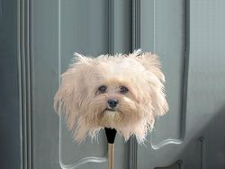 Editan Photoshop Unik Tapi Bikin Ngakak