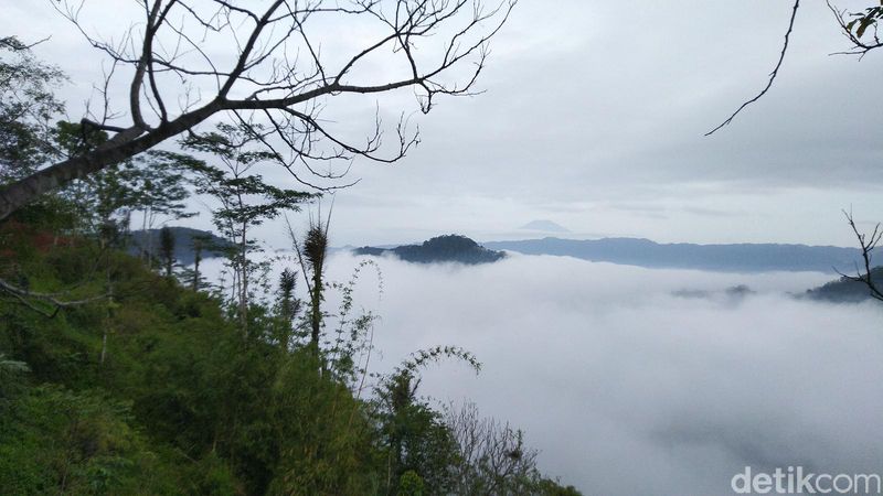 Potret Puncak Bangku Negeri Di Atas Awan Dari Ciamis Foto 4 Potret Puncak Bangku Negeri Di Atas Awan Dari Ciamis Foto 4