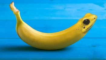 Pisang katak. Foto: Bored Panda