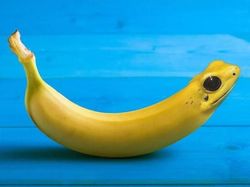 Editan Photoshop Unik Tapi Bikin Ngakak