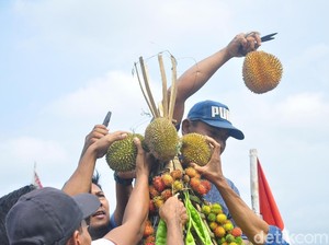 Seru! Warga Berebut Gunungan Durian dan Rambutan Ace di Kudus