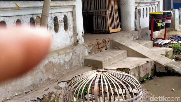 Teror Kobra Serang Warga di Klaten, 2 Dilarikan ke RS