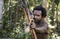 Makan Sagu hingga Ulat, Suku Korowai di Papua Barat Punya Pola Makan Alami