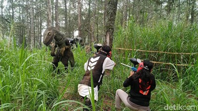 Foto: Di Gunung Lawu, Bisa Ketemu Dinosaurus di Hutan Pinus
