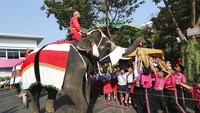 Gajah-gajah tersebut nampak membawa beragam kado Natal untuk anak-anak di sekolah tersebut.