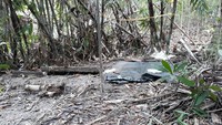 Diketahui bersama, kerangka manusia ditemukan di dalam septic tank milik Waluyo, warga Dusun Karangjati, Desa Bangunjiwo, Kecamatan Kasihan, Bantul kemarin sore. Polisi juga menemukan benda yang diduga celana jin di dekat kerangka tersebut.