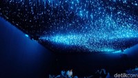 Karya instalasinya sangat Instagrammable kan?  Foto: Tia Agnes/ detikhot