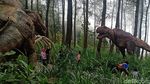 Foto: Di Gunung Lawu, Bisa Ketemu Dinosaurus di Hutan Pinus