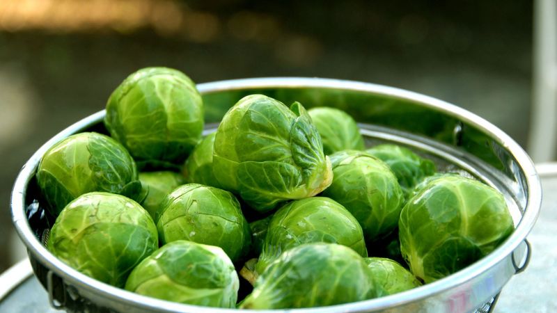 brussel sprout