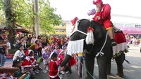 Sejumlah anak-anak yang turut menghias diri dengan kostum Sinterklas mendekati gajah tersebut untuk mendapatkan hadiah.