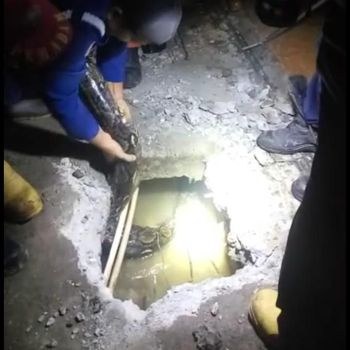 Detik-detik Menegangkan Penangkapan Piton 4 Meter di Pamulang Tangsel