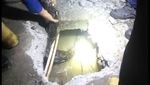 Penampakan Ular Piton 4 Meter yang Bikin Geger di Pamulang