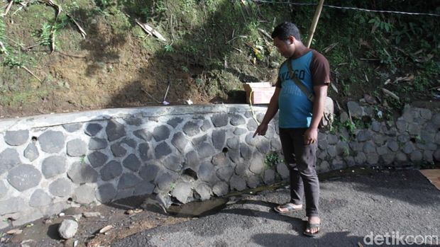 King Kobra Jatuh dari Pohon di Cadas Pangeran Saat Santap Ular