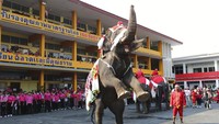 Selain membagikan kado Natal, sejumlah gajah tersebut juga menampilkan atraksi menarik di hadapan anak-anak di sekolah tersebut.