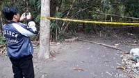 Kerangka tersebut telah dievakuasi dan dibawa ke RS Bhayangkara Polda DIY untuk diautopsi. Polisi juga belum mengungkap identitas mayat tersebut.