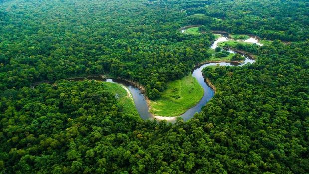 5 Sungai Terpanjang di Benua Amerika dengan Penjelasannya