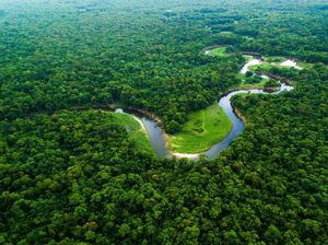 9 Fakta Sungai Amazon, Salah Satu yang Terpanjang dan Penghuninya