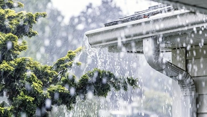 Foto: iStock Foto: iStock