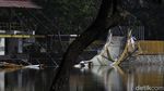 Jembatannya Ambruk! Hutan Kota Kemayoran Kini Ditutup Sementara