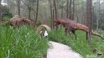 Foto: Di Gunung Lawu, Bisa Ketemu Dinosaurus di Hutan Pinus
