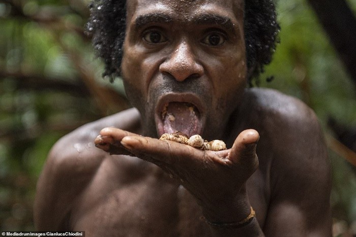 Makan Sagu hingga Ulat, Suku Korowai di Papua Barat Punya Pola Makan Alami