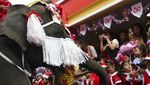 Gajah di Thailand Bagi-bagi Hadiah Natal Kepada Siswa Sekolah
