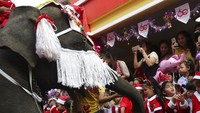 Kehadiran gajah yang membagikan beragam hadiah Natal itu sontak menarik perhatian anak-anak di sekolah tersebut. Mereka berbaris untuk mendapatkan kado Natal dari gajah itu.