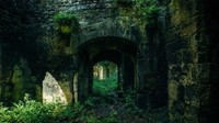 Proyek restorasi untuk Vibrac, akan dilakukan dengan hati-hati mengingat bangunannya yang sudah banyak ditumbuhi pohon-pohon liar. Rencananya di sini akan dibangun pondok-pondok untuk para wisatawan (Dartagnans/CNN)