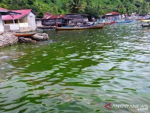 Air Laut di Padang Berubah Jadi Hijau