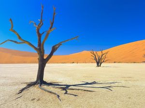 Namibia akan Cabut Bebas Visa bagi Negara Pelit Timbal Balik