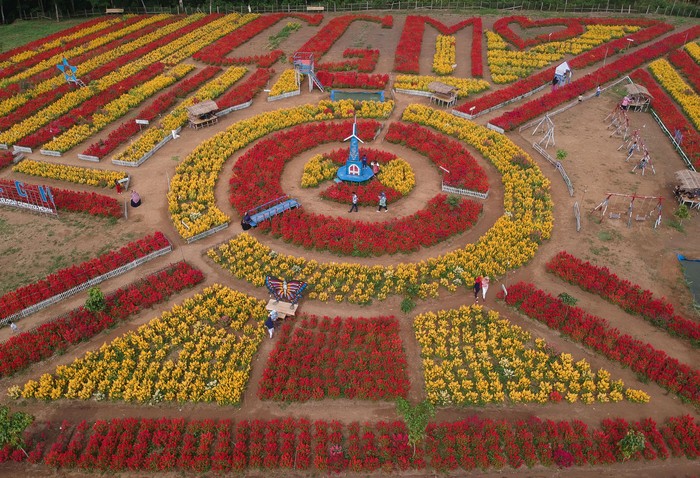 Video Udara Drone Indahnya Celosia Gunung Medan Dharmasraya Youtube