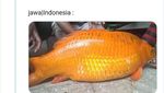 Kreatif dan Bikin Ngakak, Panggilan Dalam Bahasa Daerah Ini Bikin Geleng Kepala