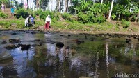 Mereka nekat berenang melintasi Sungai Ciderma saat permukaan air meluap agar bisa tiba di sekolah. Di lokasi ini tidak ada jembatan.